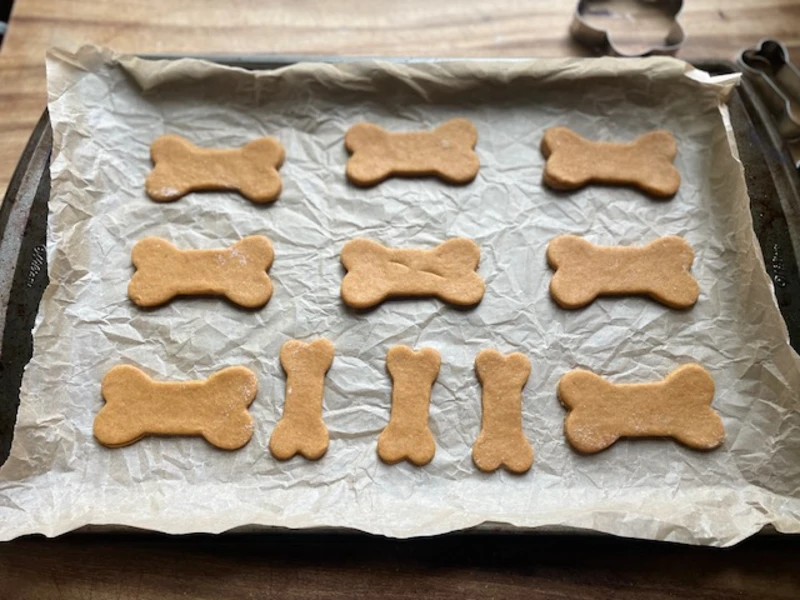 cut out dough on a cookie sheet