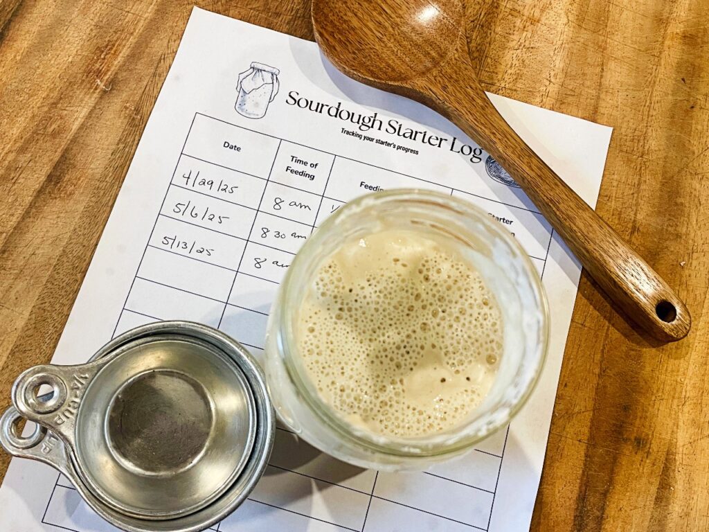 sourdough starter with free sourdough starter log sheet