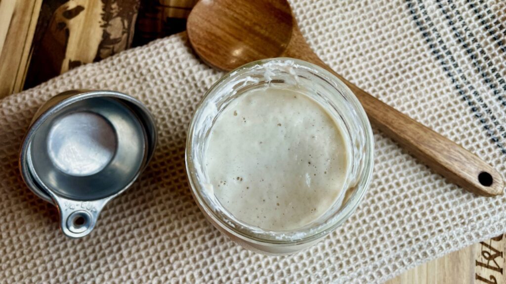 sourdough starter