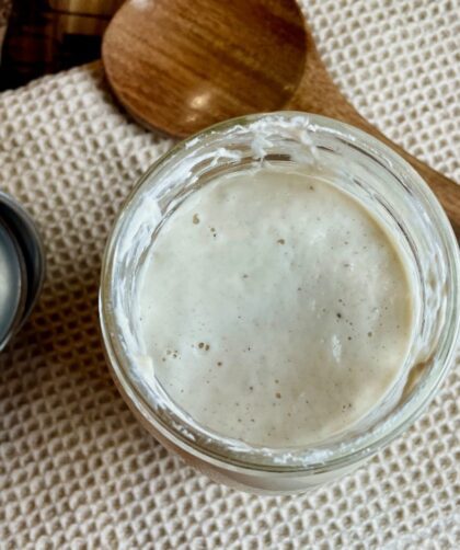 sourdough starter